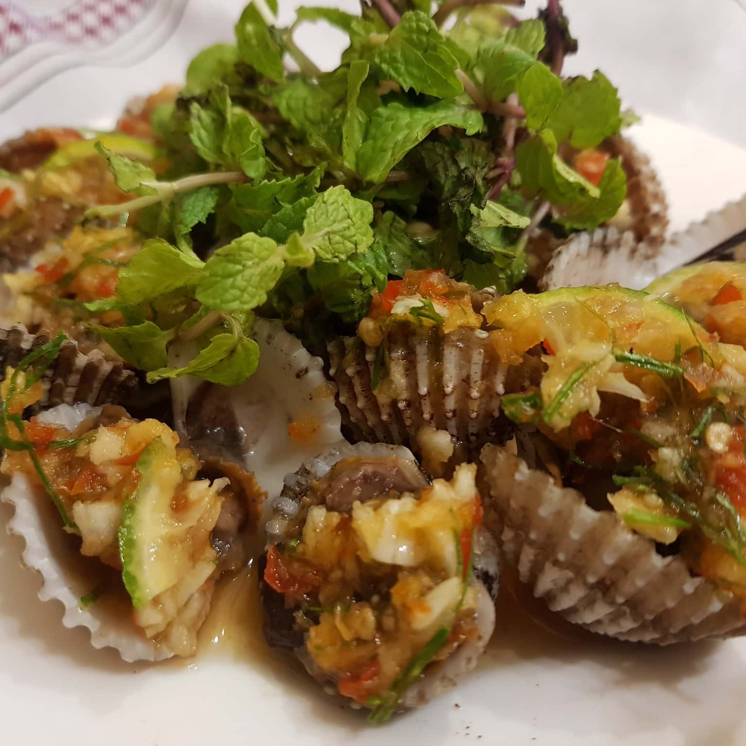 oc dao da nang