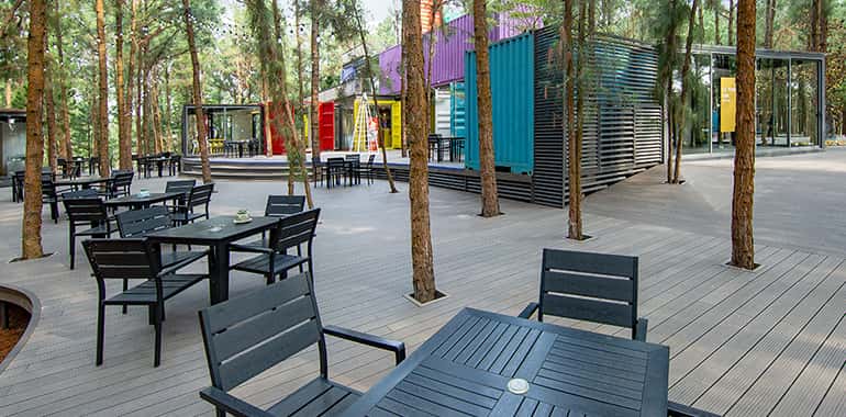 container bar flamingo dai lai vinh phuc 