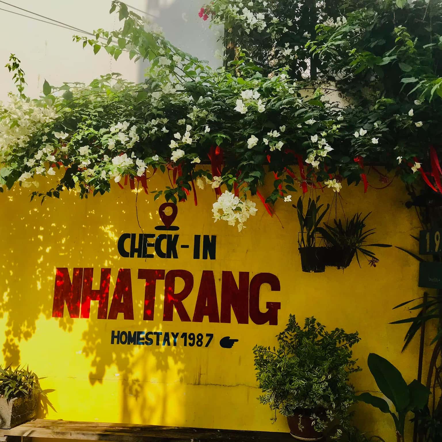 1987 homestay nha trang 