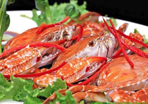 quan hai san tam meo nha trang