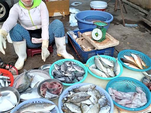 cho vinh ngoc nha trang