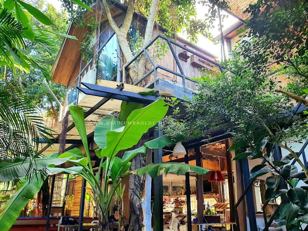 the fish phu quoc homestay