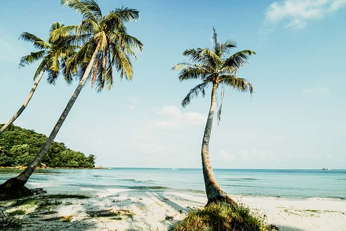 bai cua can phu quoc 