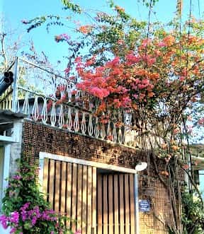 peace house phu quoc