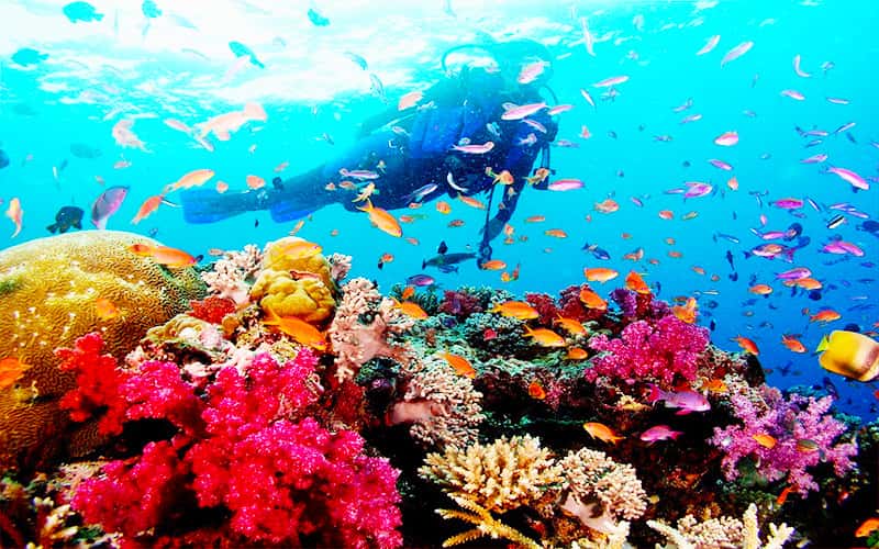 lan ngam san ho phu quoc