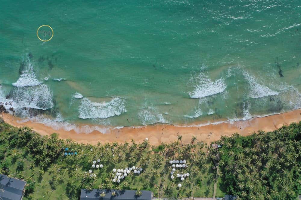 bai trao hon thom phu quoc
