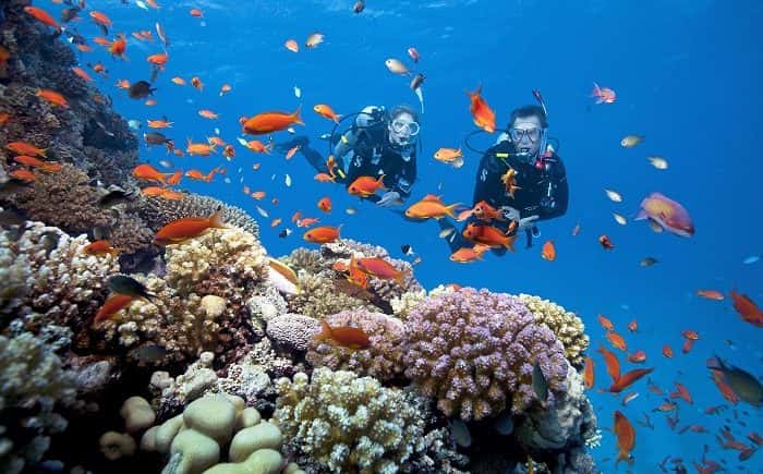 cong vien seaworld phu quoc