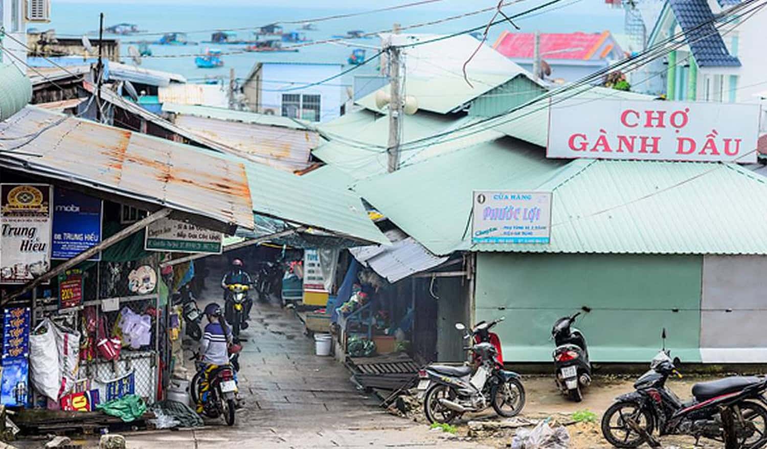 cho ganh dau phu quoc