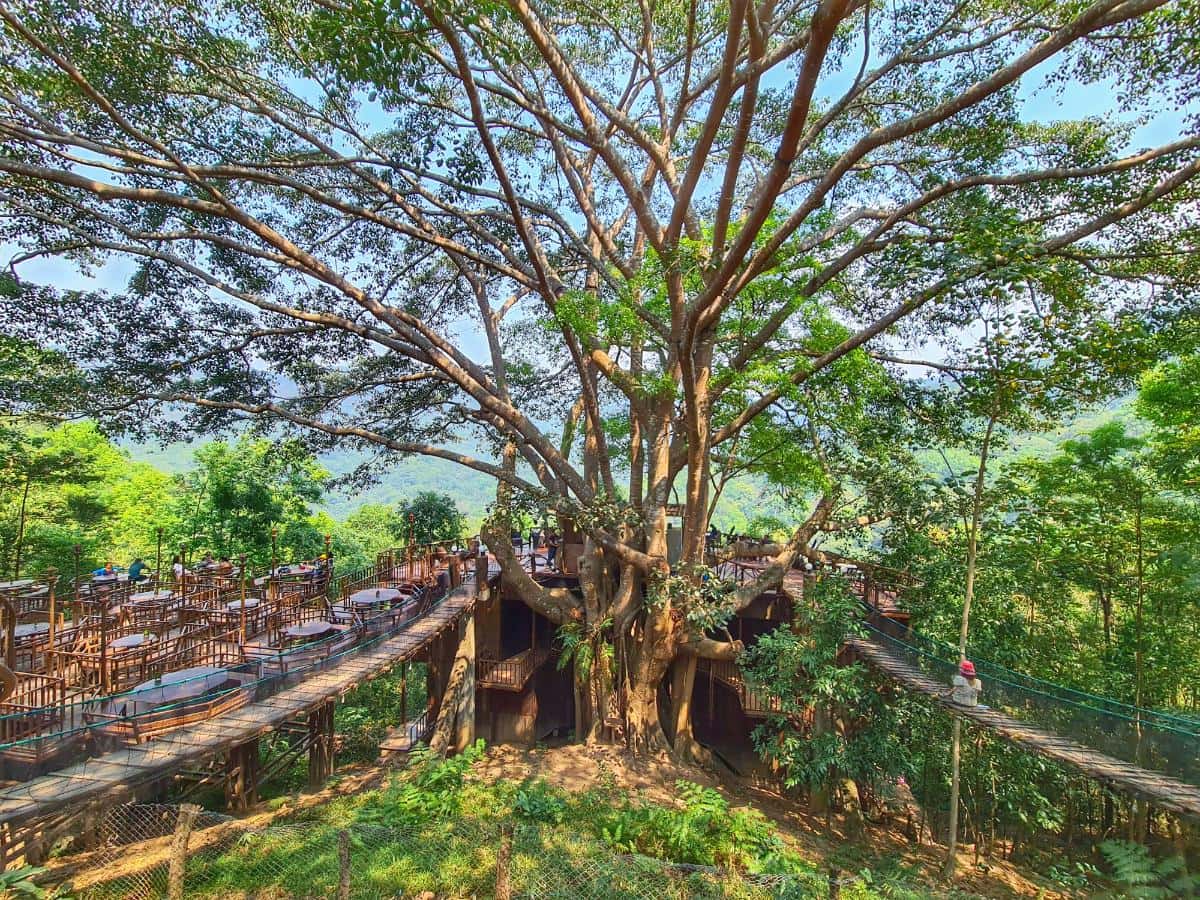 the giant chiang mai thailand