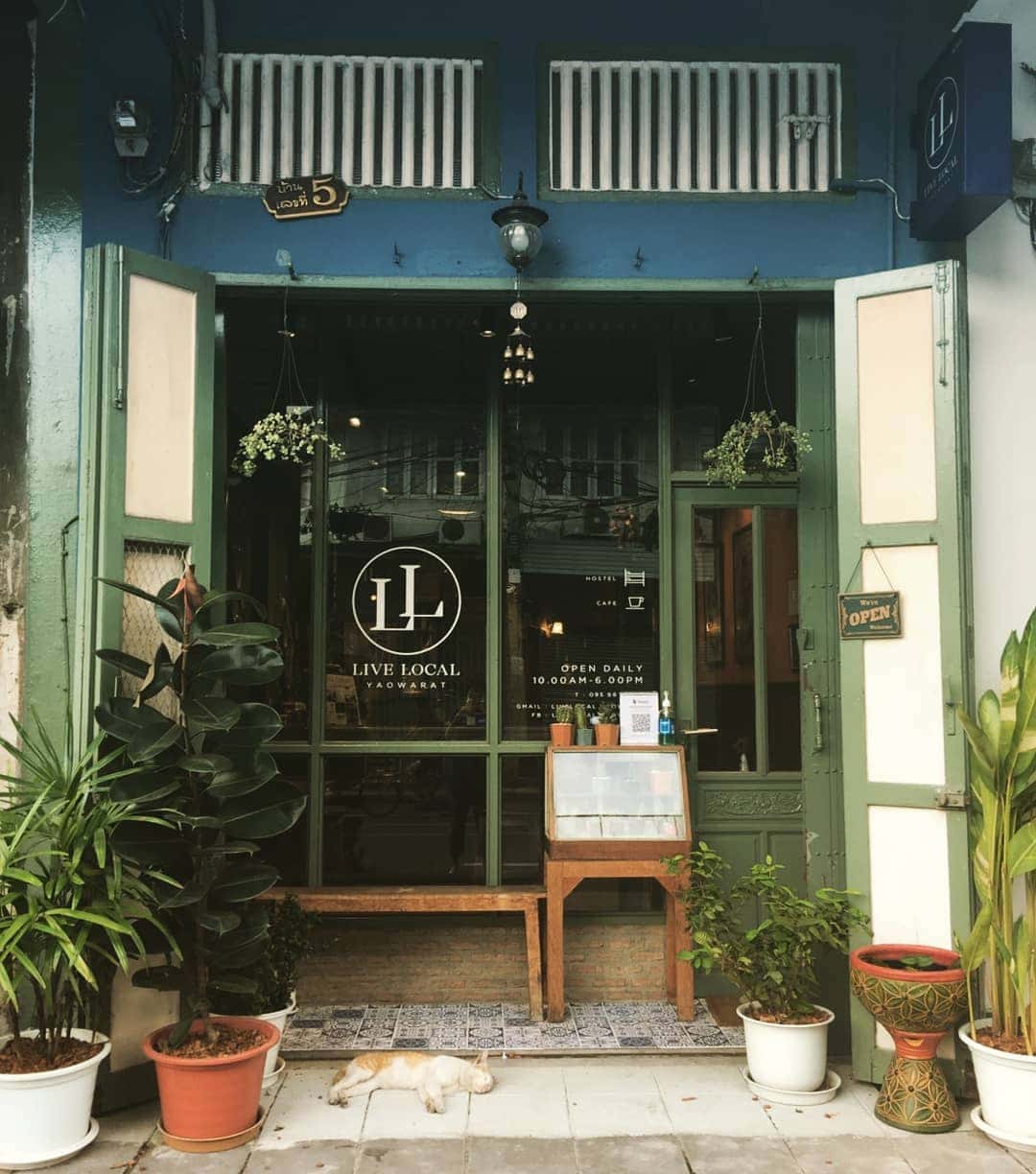 live local thailand