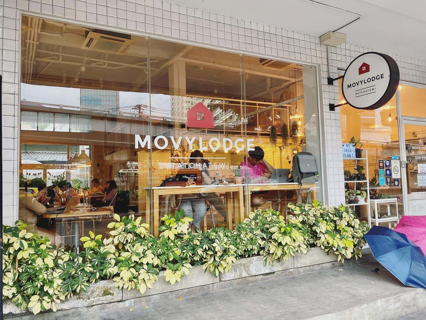 movylodge hostel thailand