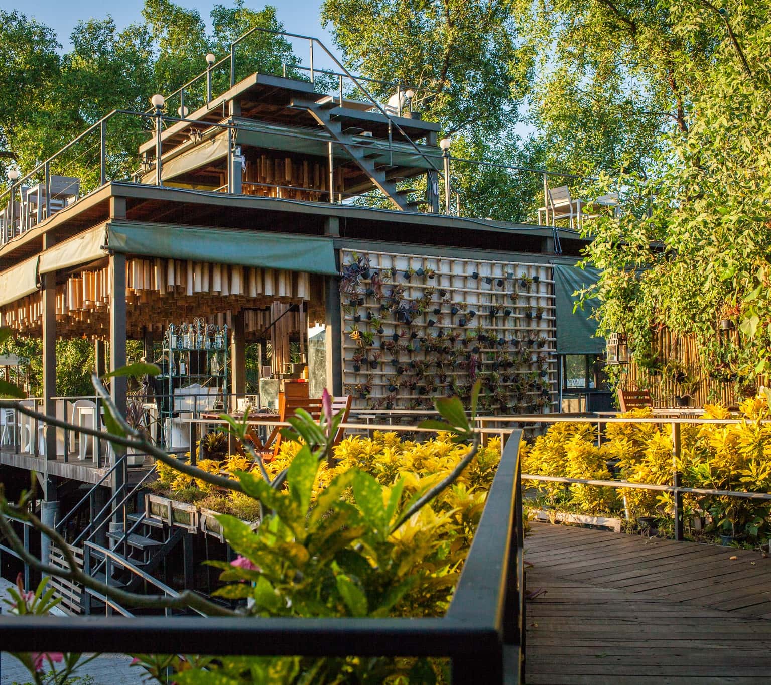 bangkok tree house thailand