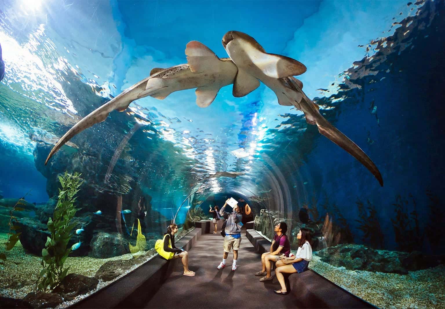 underwater world pattaya