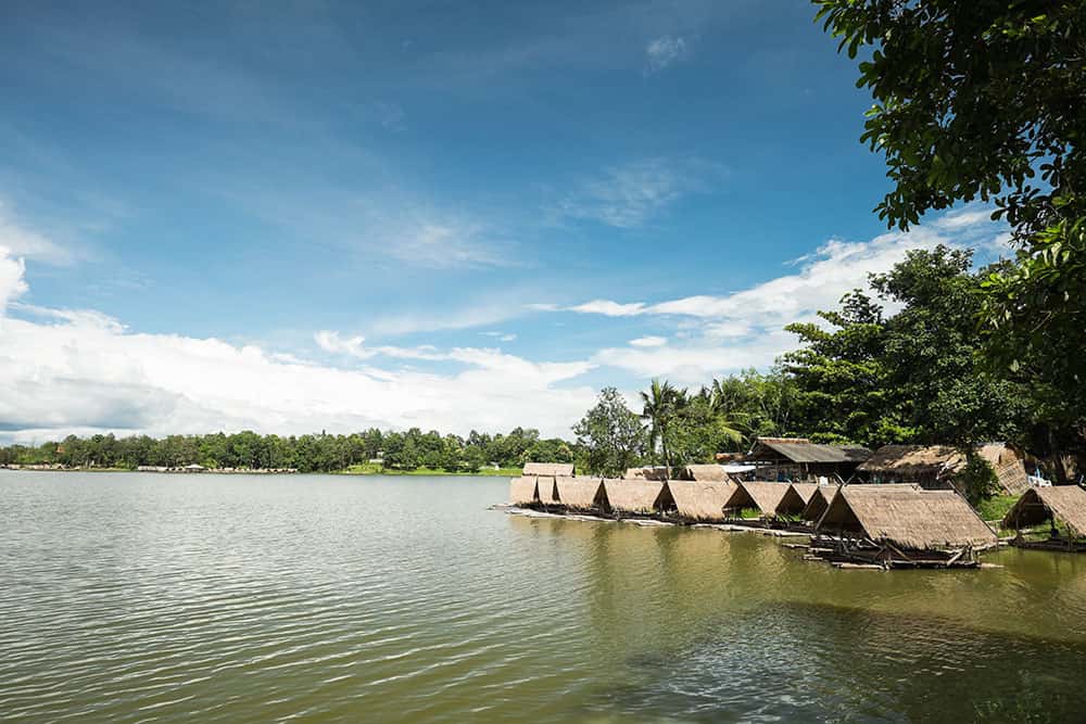 huay tueng thao chiang mai