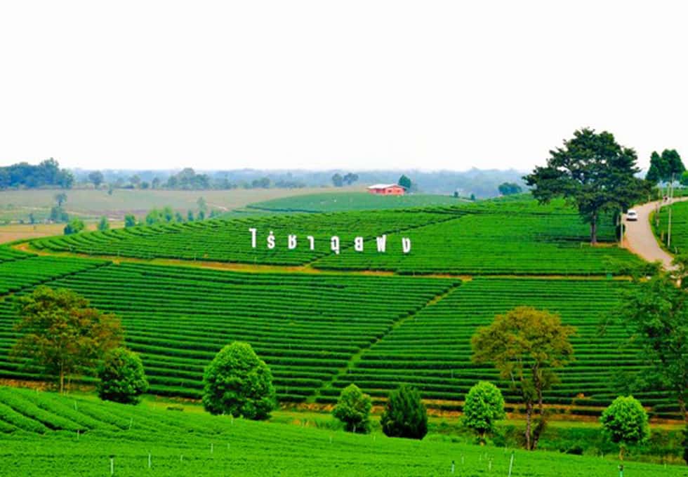 doi che choui fong chiang rai