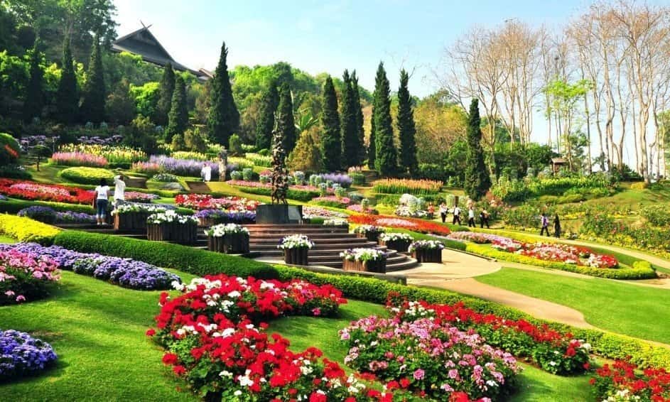 doi tung chiang rai