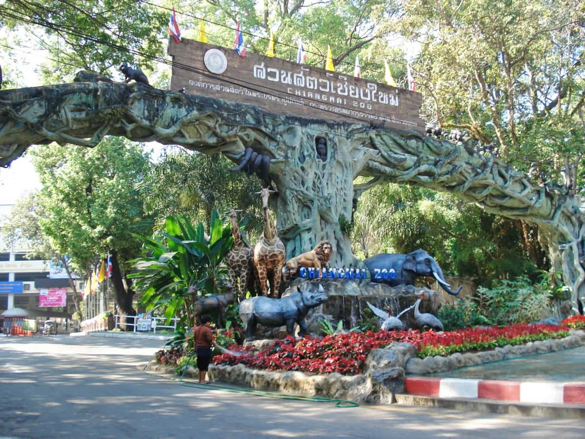 thao cam vien chiang mai
