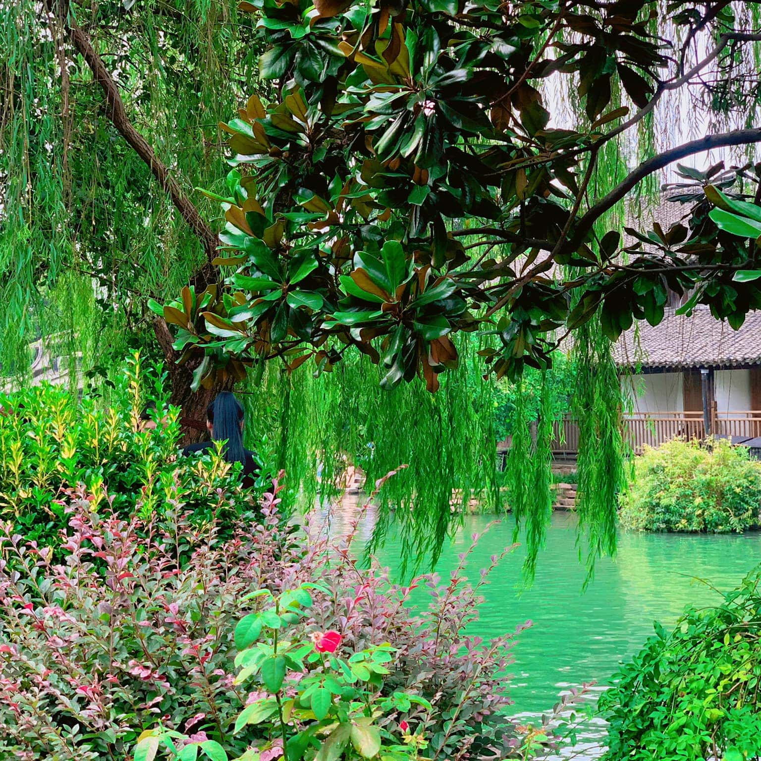 o tran trung quoc