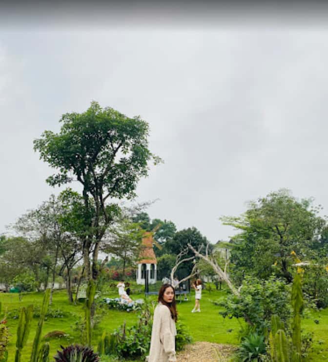 Ảnh 7