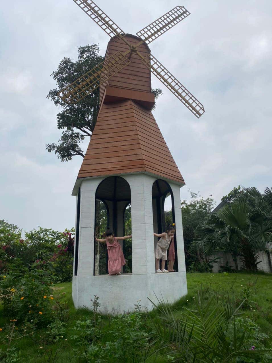 Ảnh 4