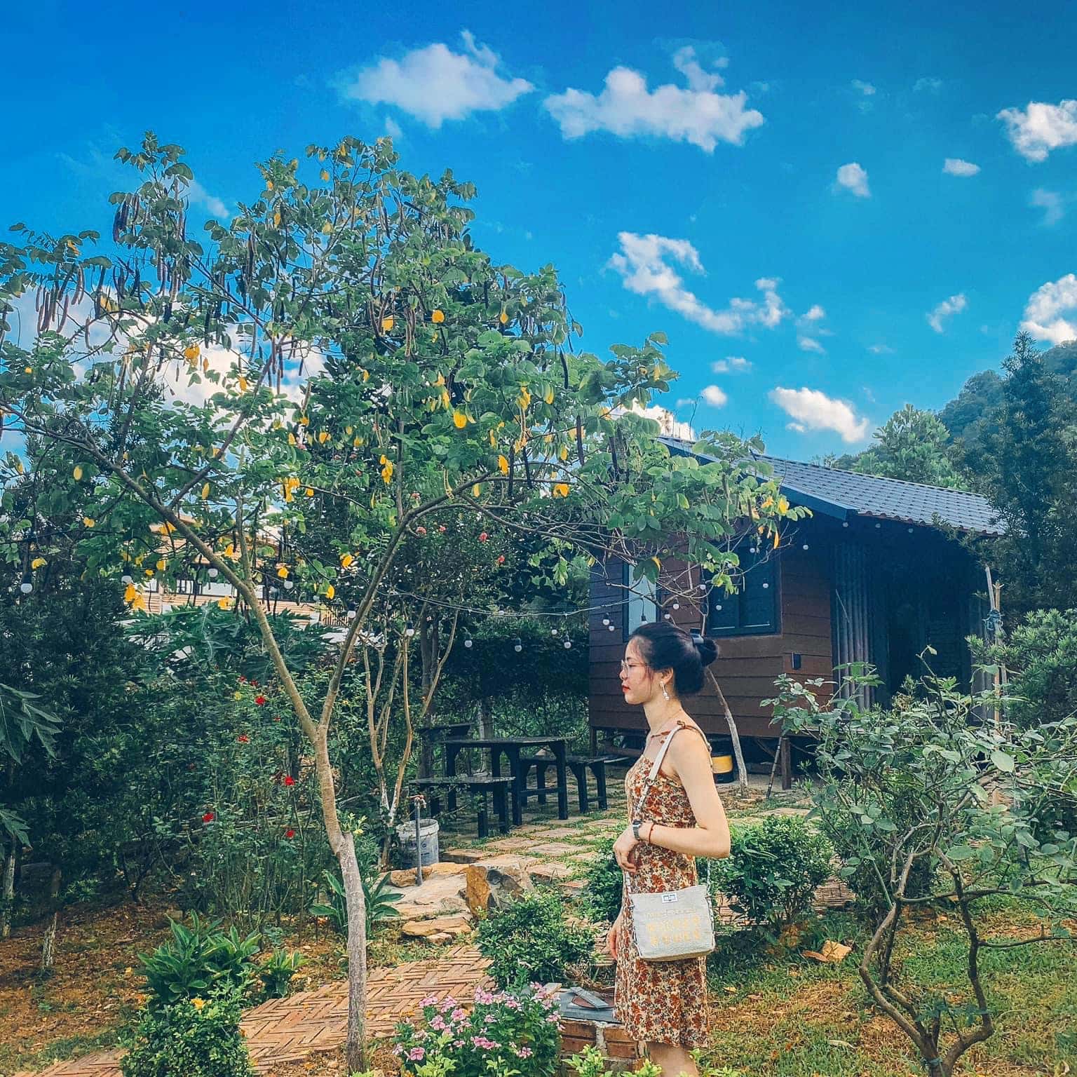 照片2