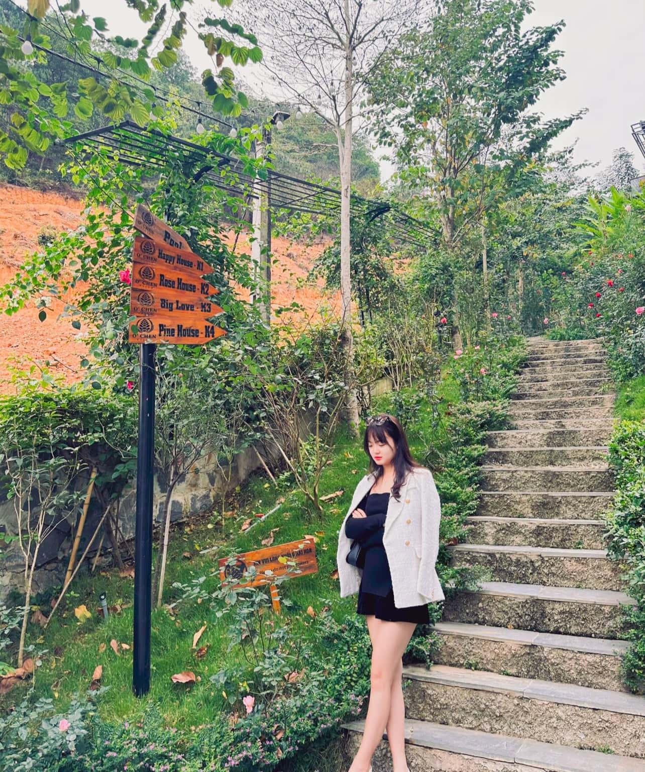 照片8