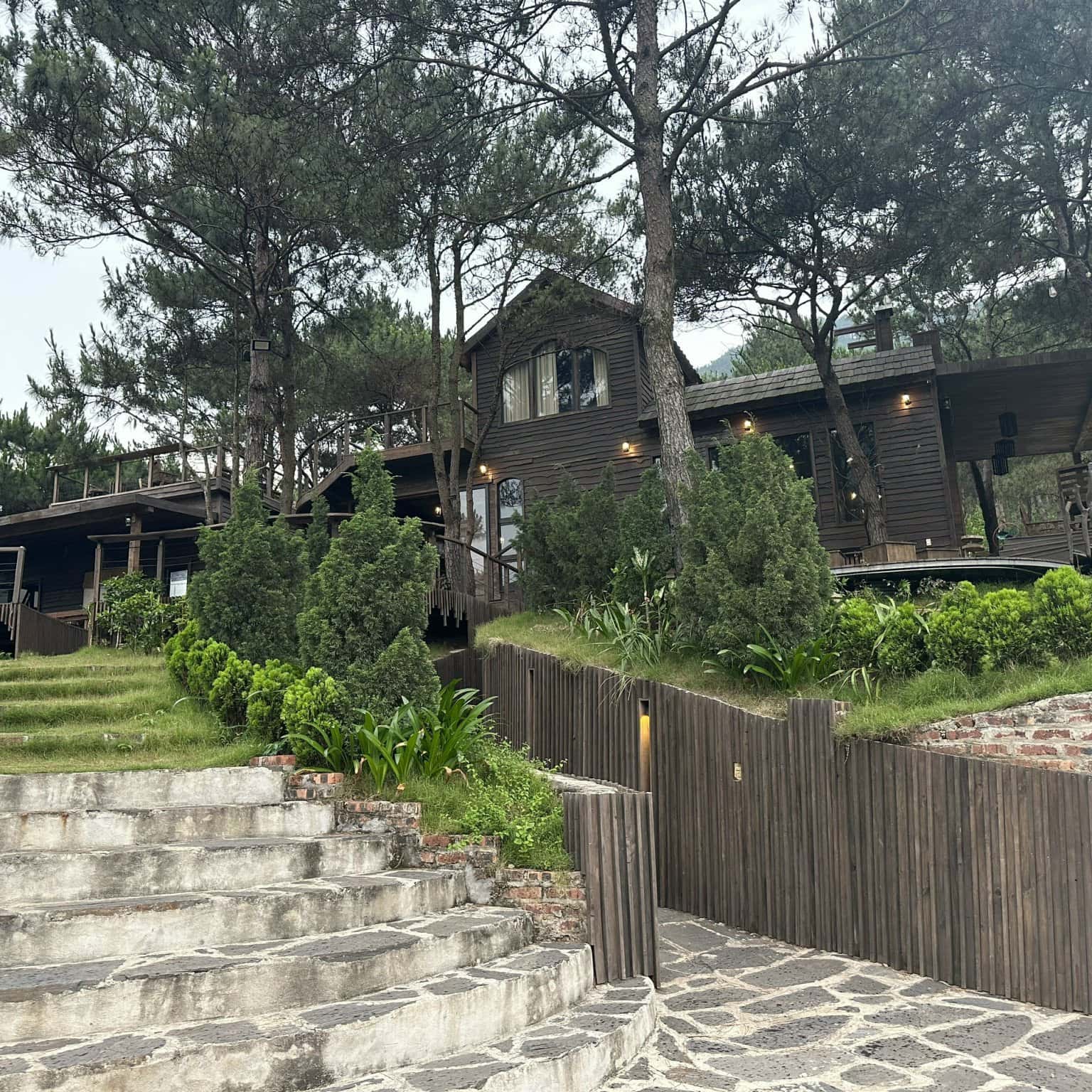 照片3