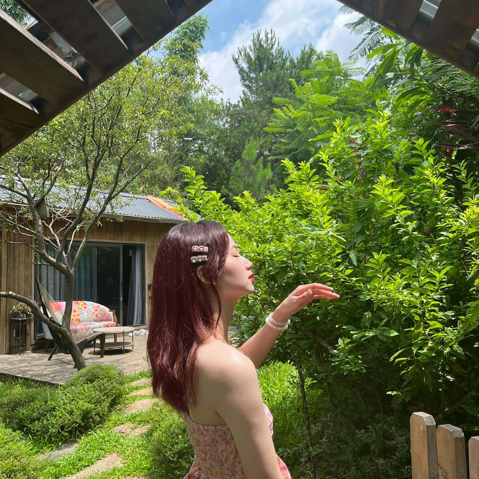 Ảnh 5