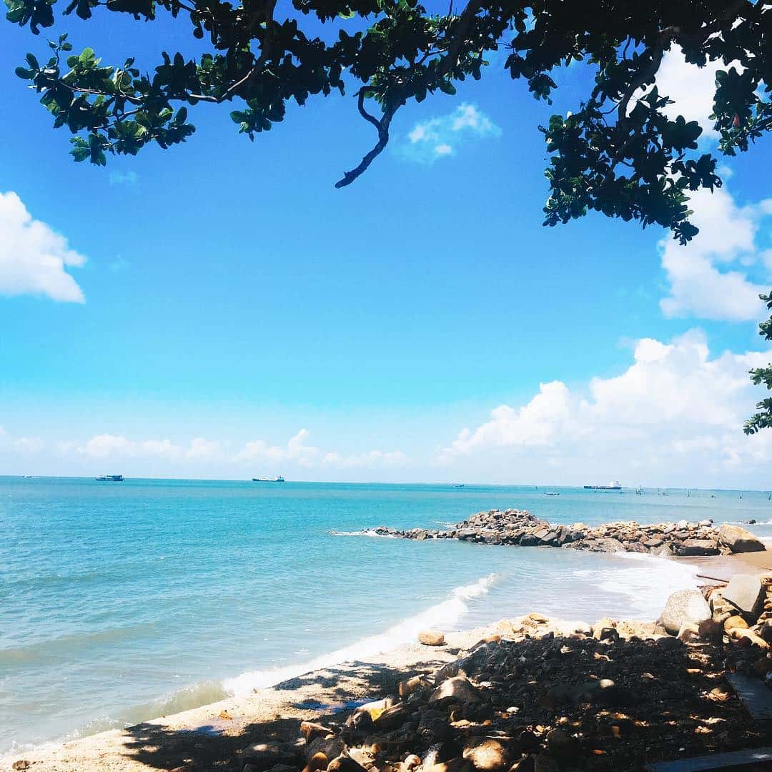 bai dau vung tau