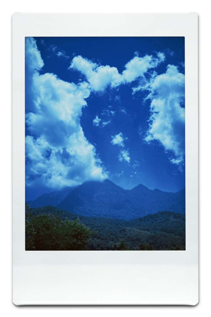 Ảnh 5