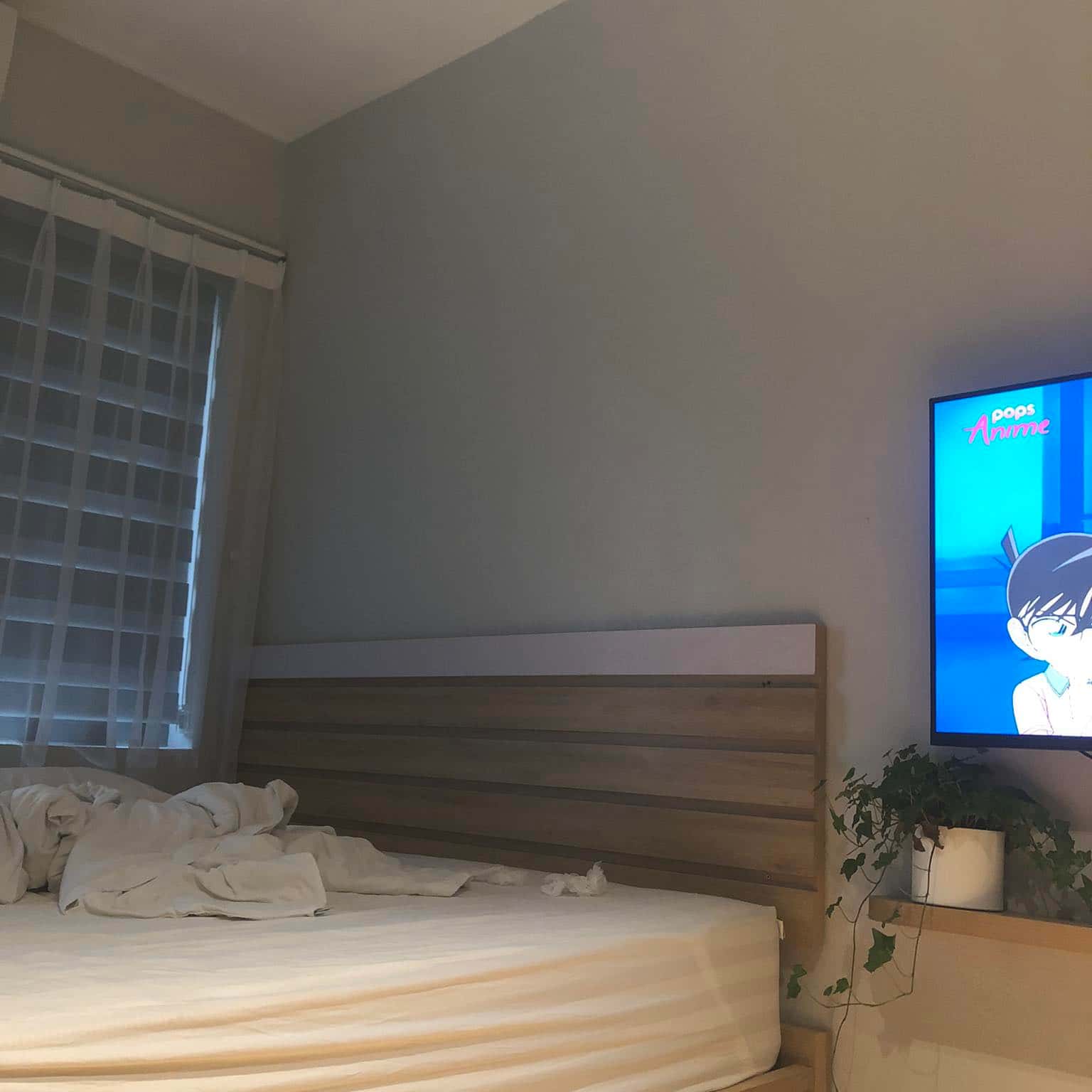 写真5