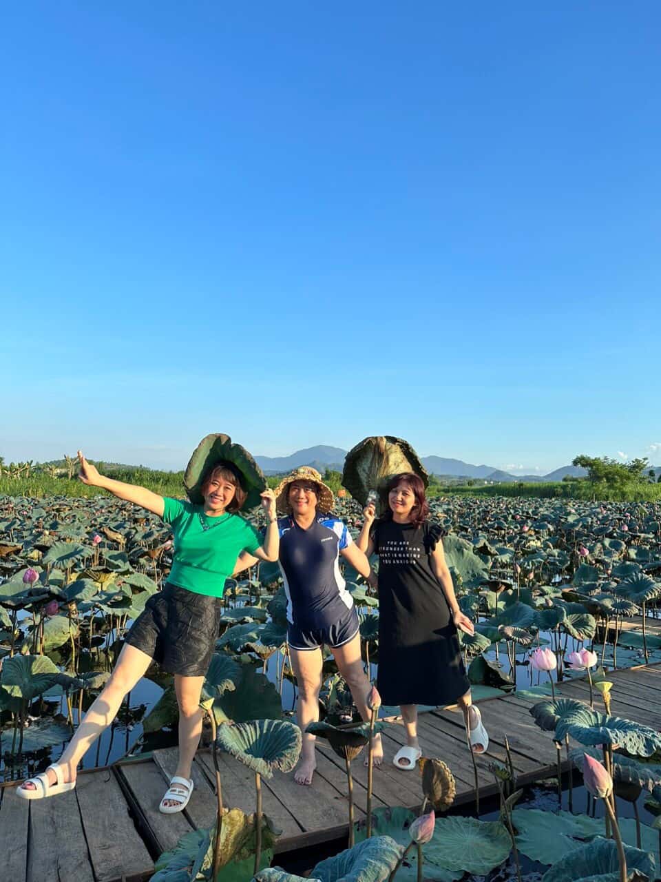 Ảnh 7