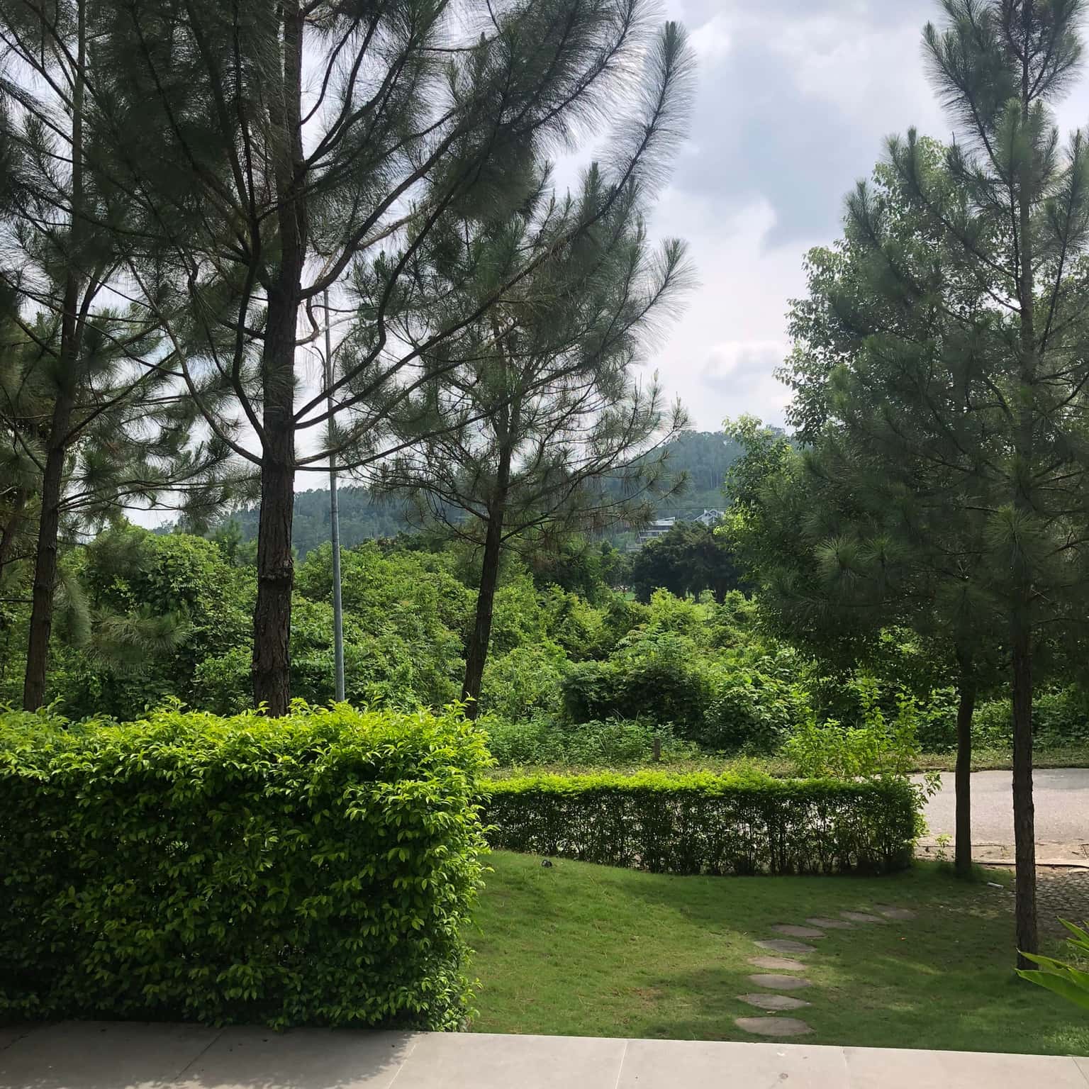 照片3
