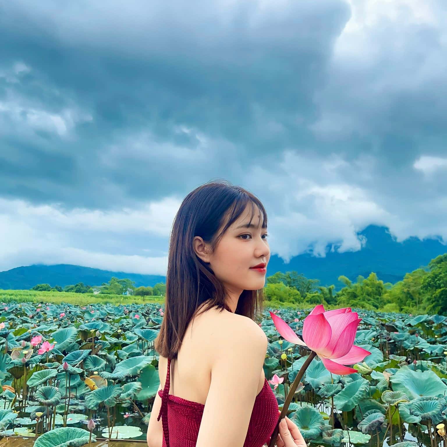 Ảnh 8
