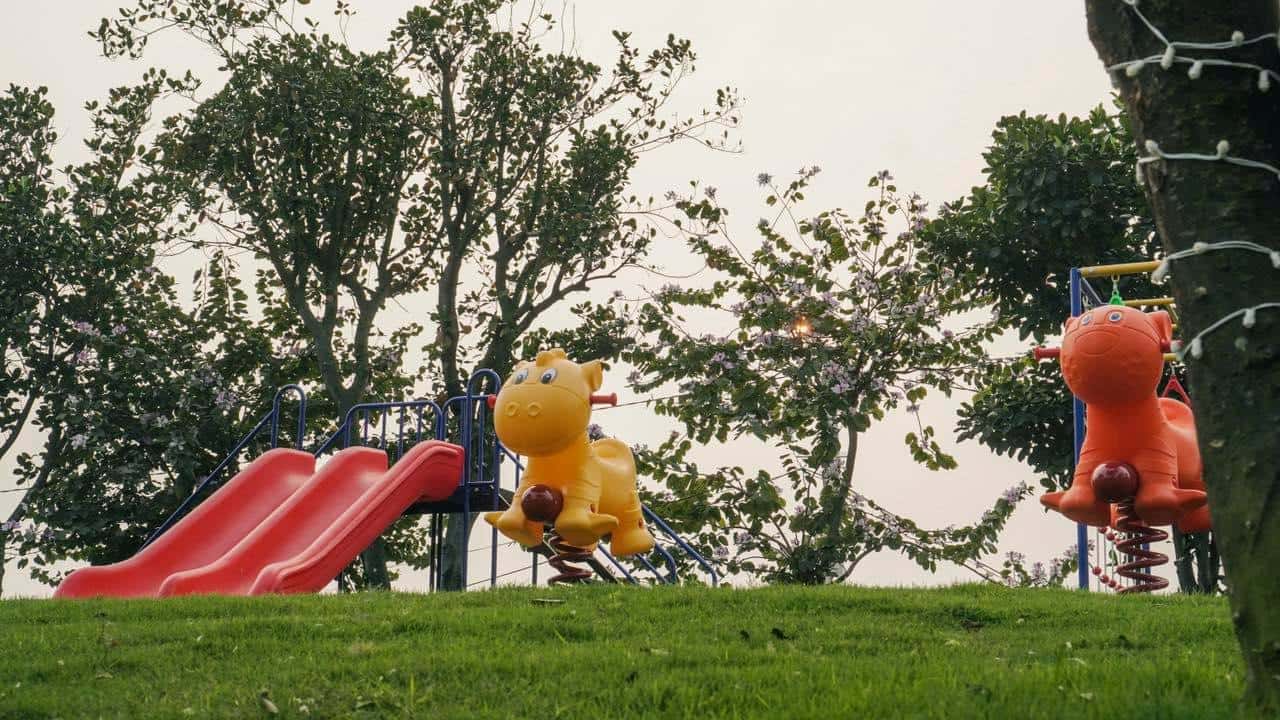 照片3