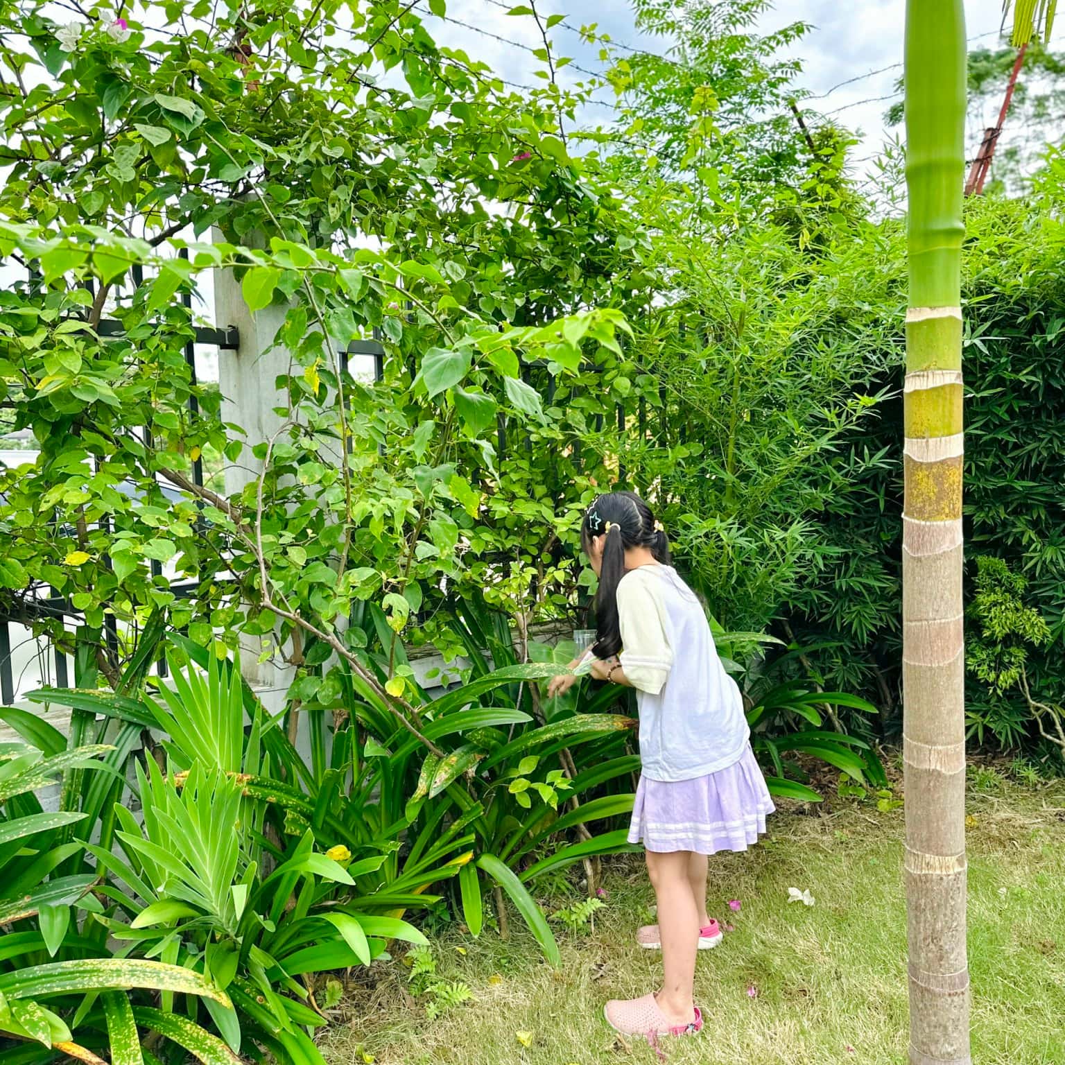 Ảnh 9