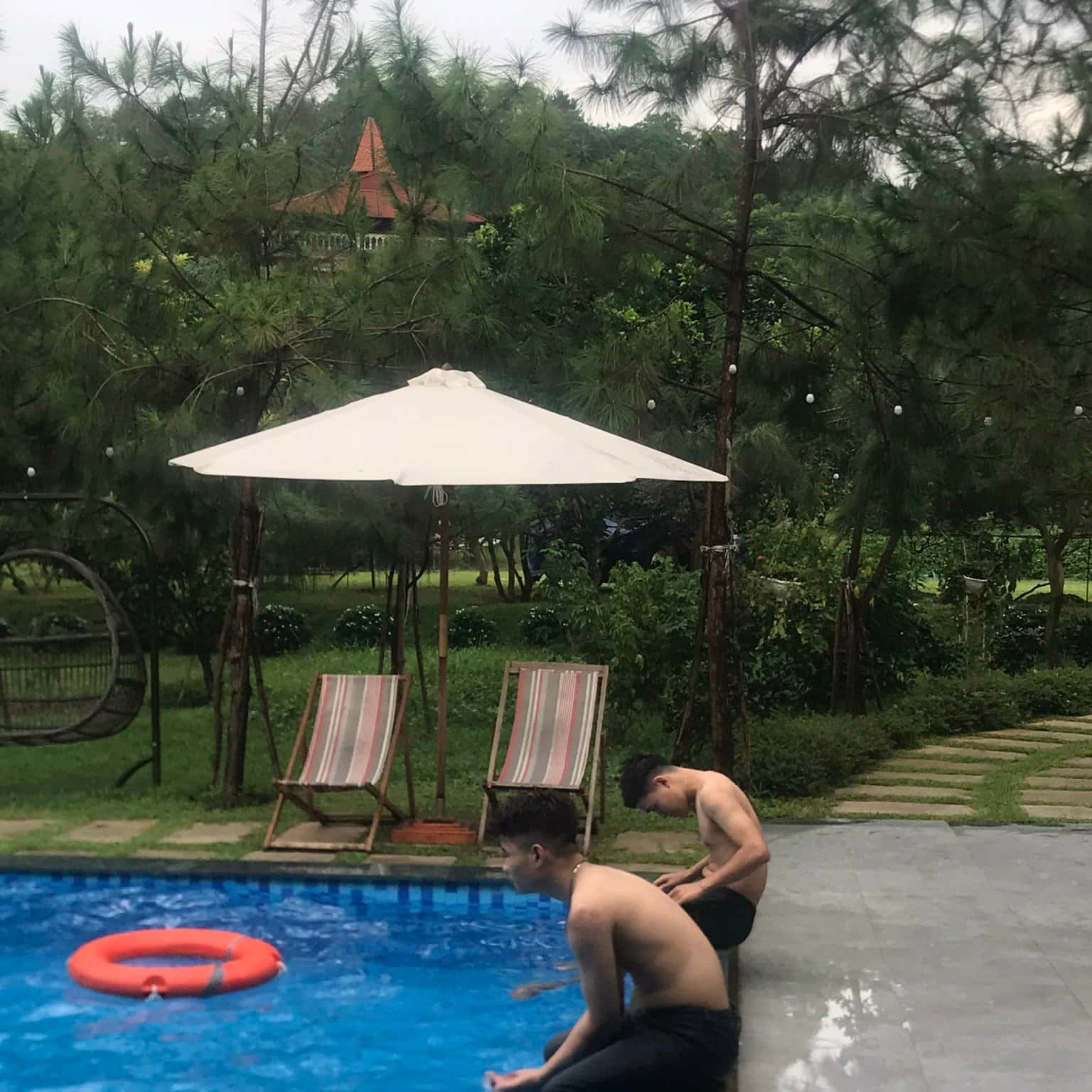 Ảnh 5