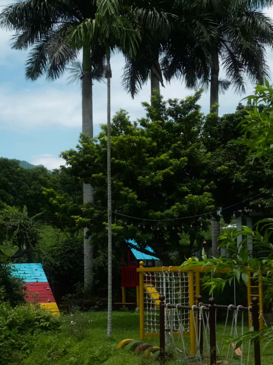 Ảnh 1