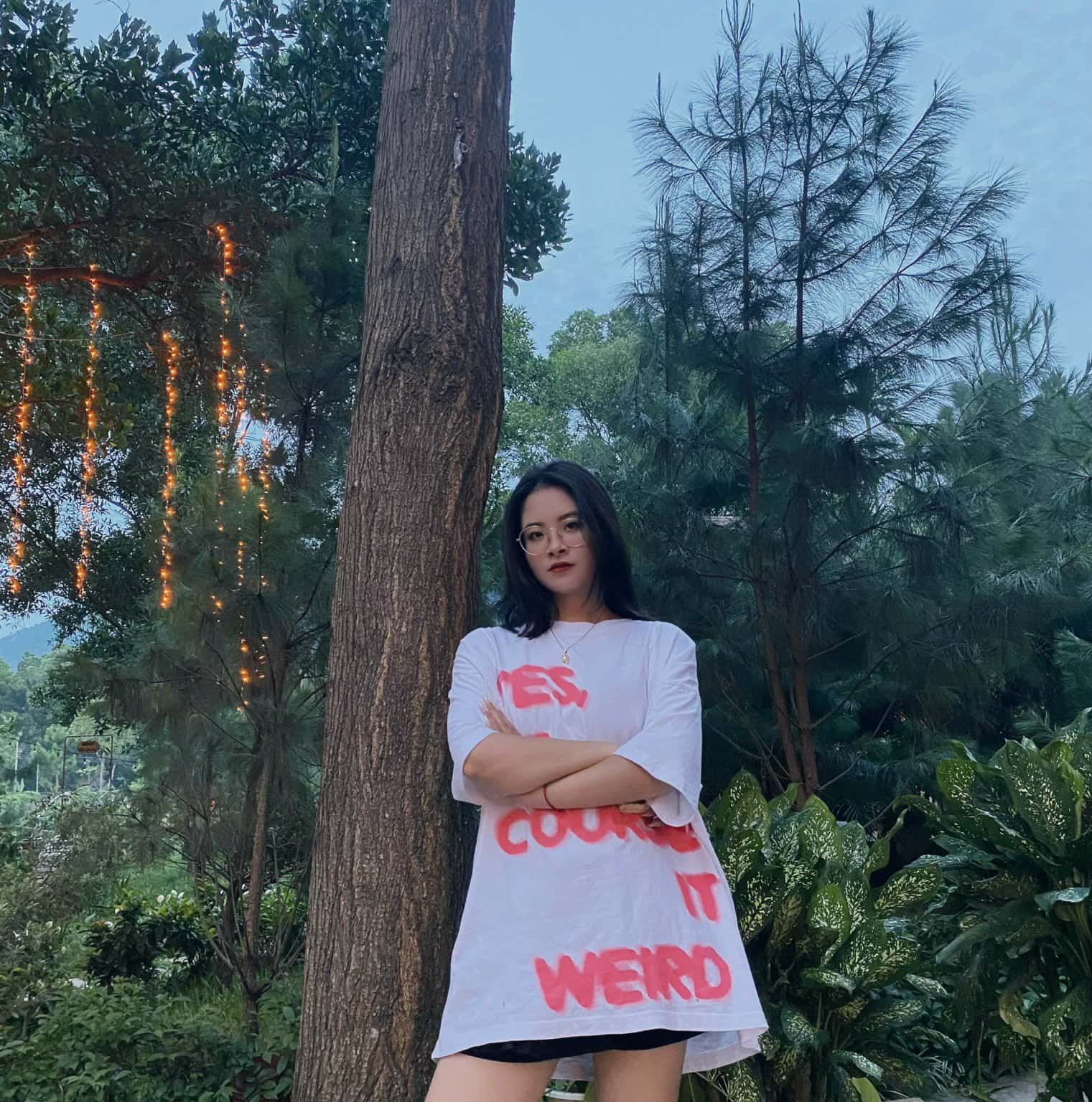照片6