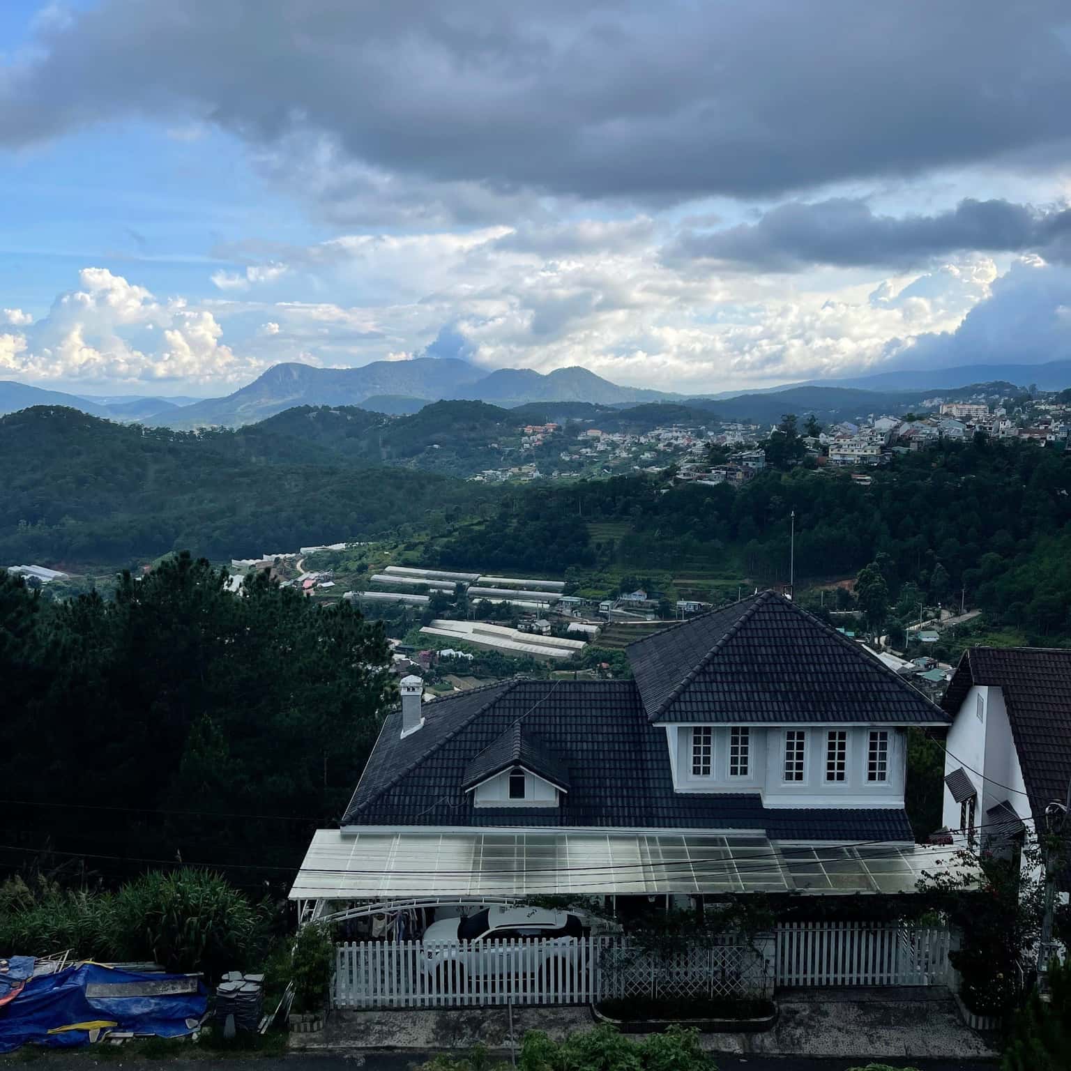 写真1