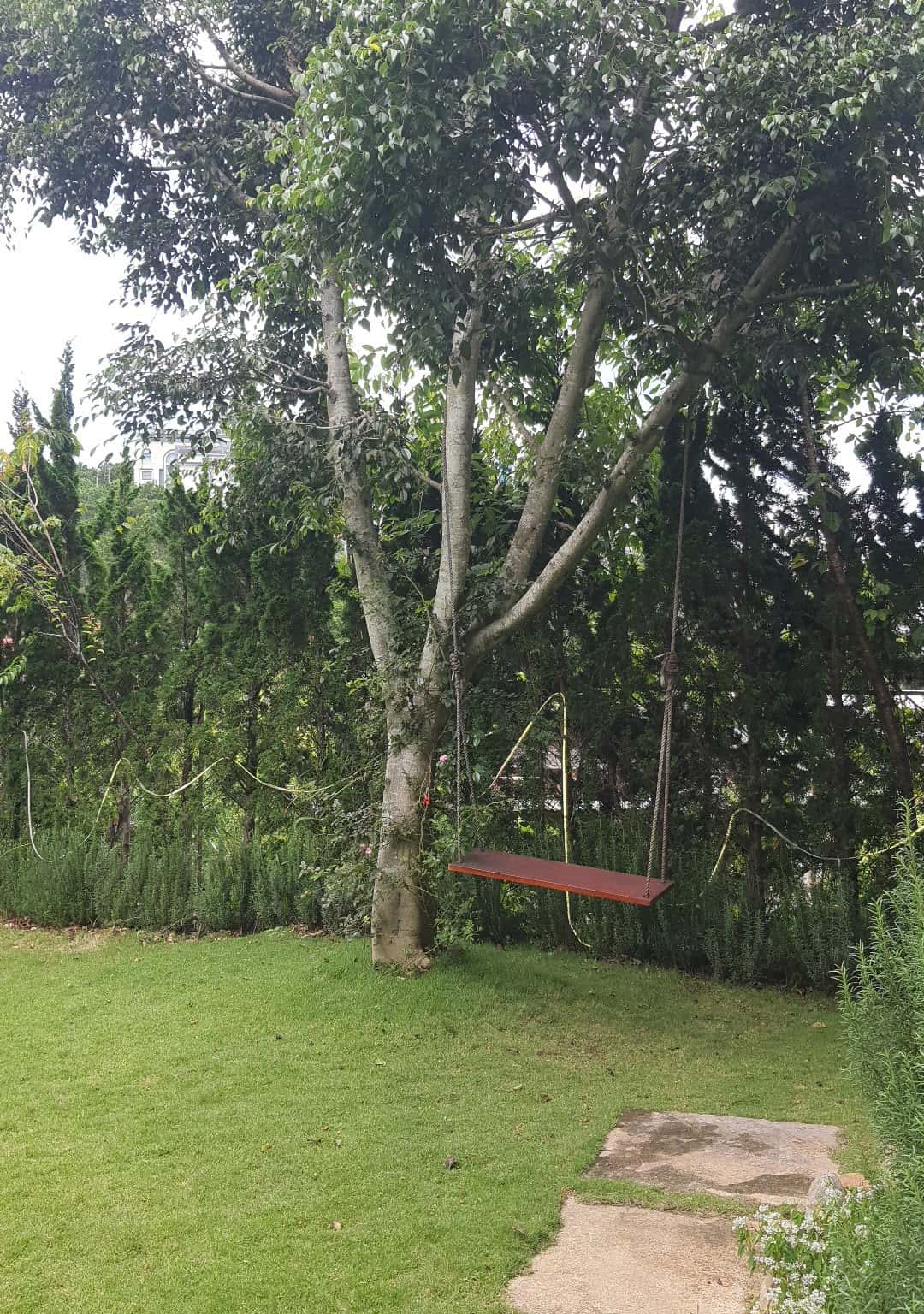 Ảnh 10