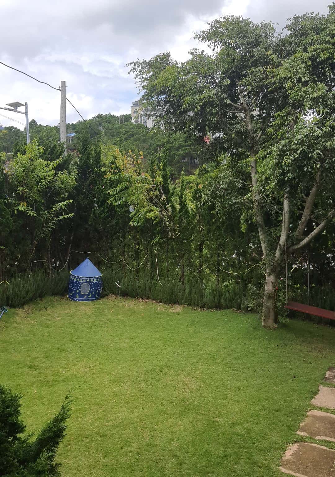 Ảnh 7