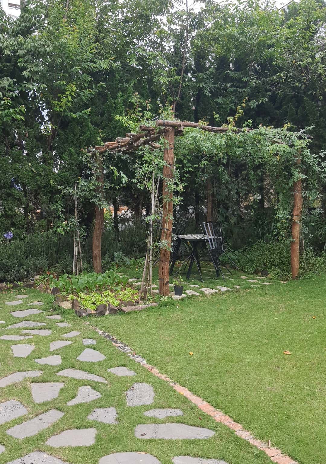 Ảnh 2