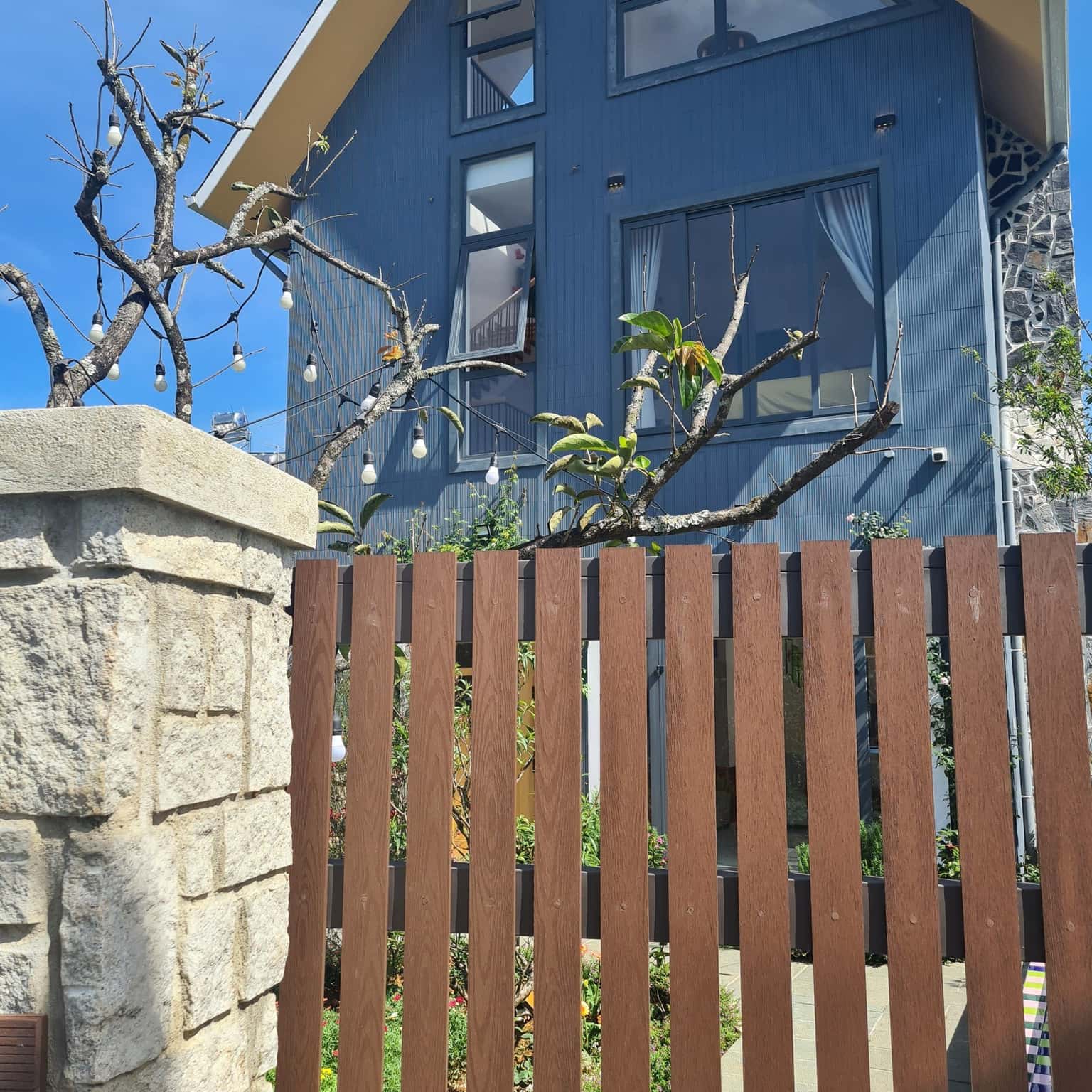 Photo 8