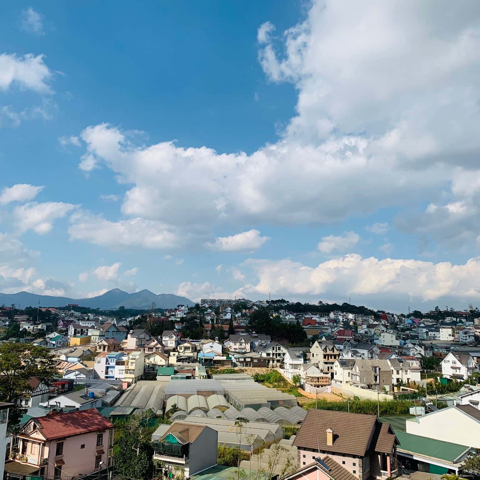 写真2
