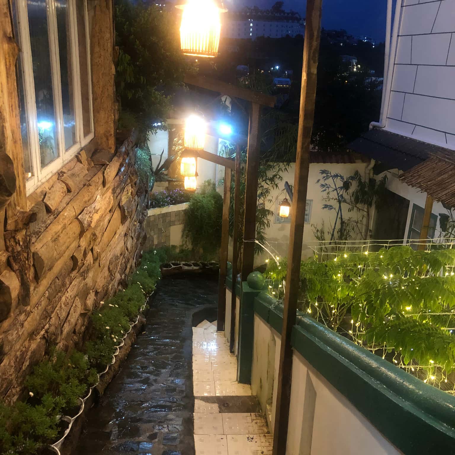 写真4