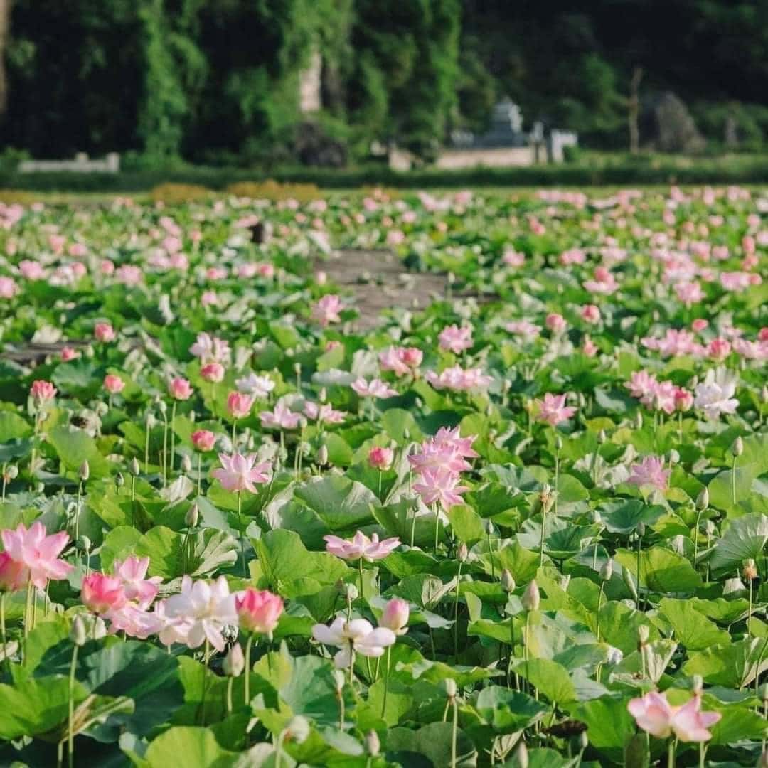 三谷-碧洞，宁平 — 照片 2