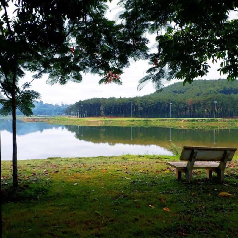 Hồ Đồng Chương, Ninh Bình — ảnh 18