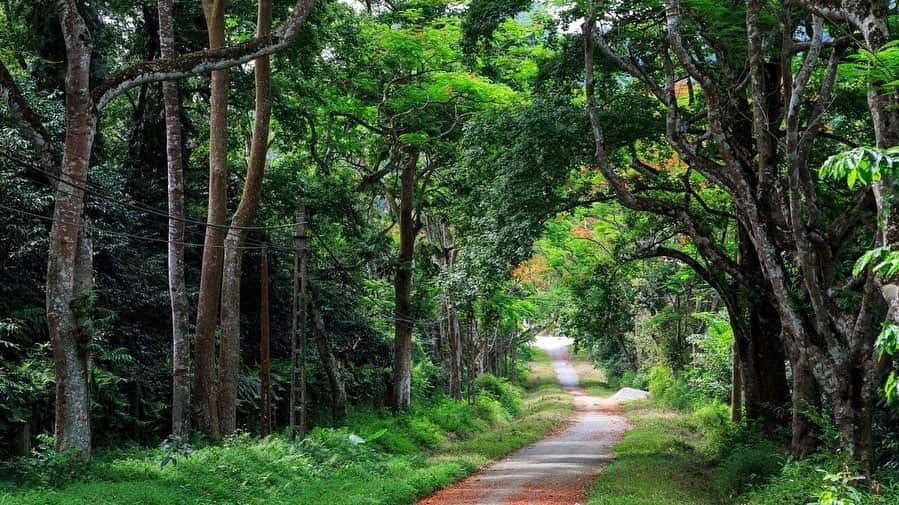 Vườn Quốc gia Cúc Phương, Ninh Bình