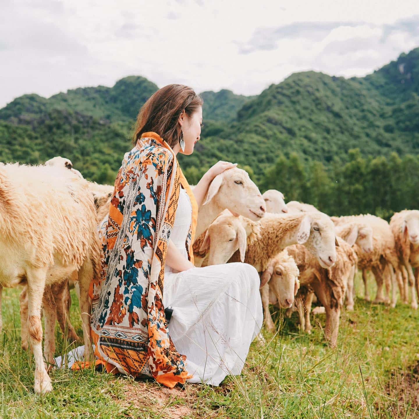 Đồi Cừu Ninh Bình — ảnh 16